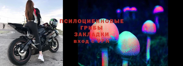 винт Медвежьегорск