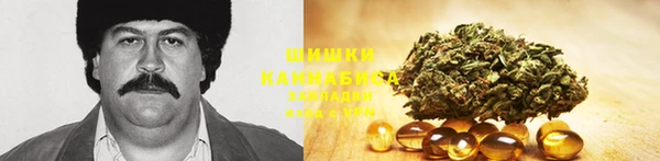 гашик Магас