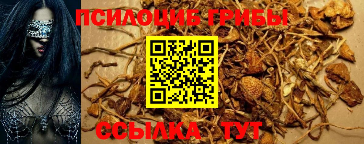 Галлюциногенные грибы мицелий Радужный