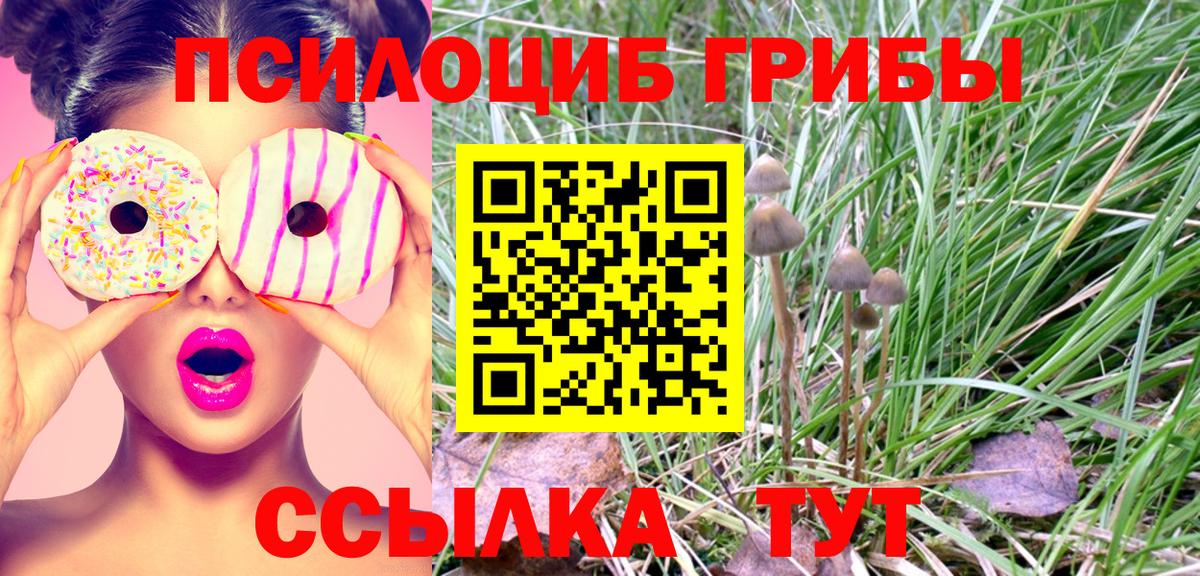 Радужный  Псилоцибиновые грибы MAGIC MUSHROOMS  Вход с VPN 